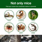 🌸LAST DAY PROMOTION - 50%OFF🌸Household Mon-woven Strong Trap Sticky Mouse Blanket