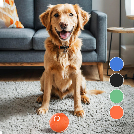 Hot sale🎁Smart Rechargeable Interactive Ball Toy for Dog